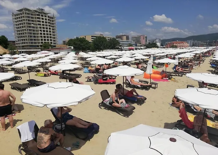 Ideal Three Bed For Families Closed To The